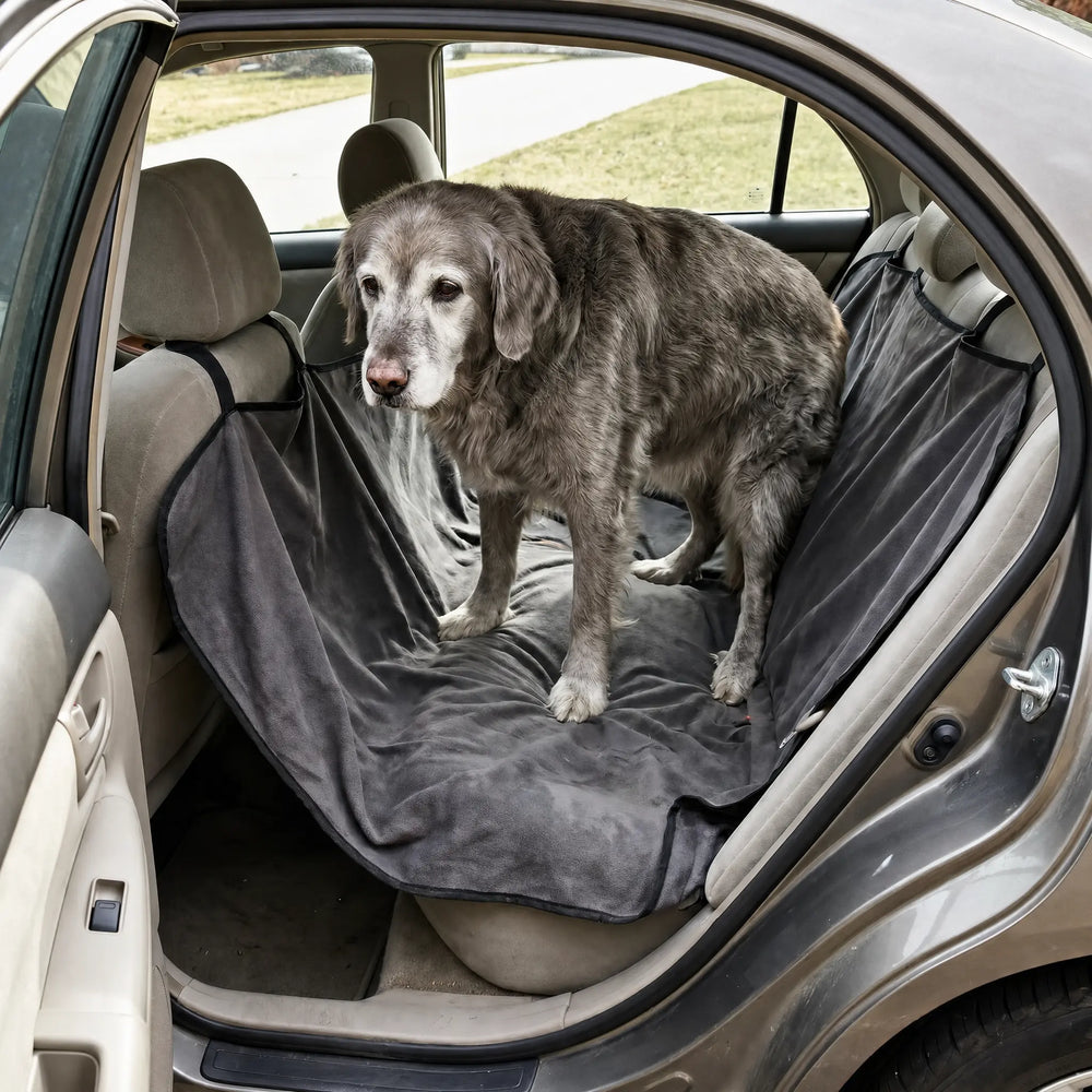 Senior dog standing braced on an ordinary fabric dog hammock that sags into a V under its weight in a sedan back seat.